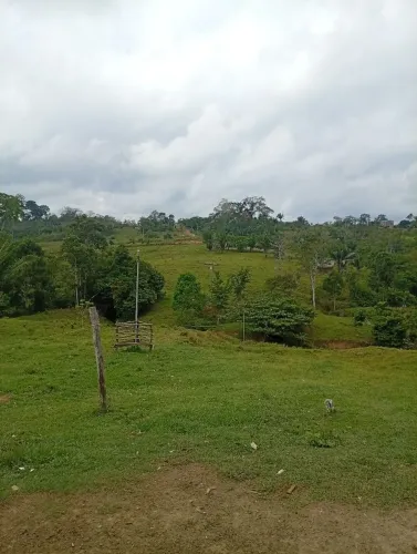 Vendo essa colônia