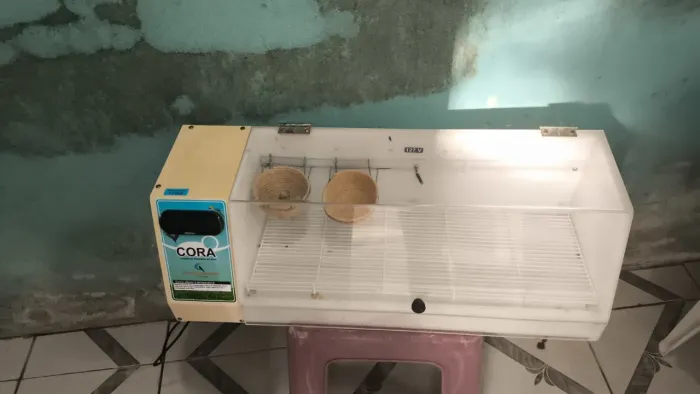 estufa pra aves