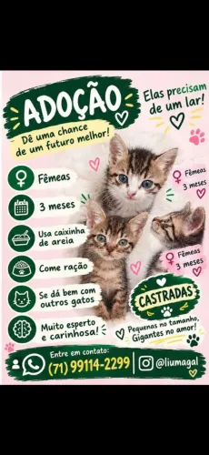 Adote mim 