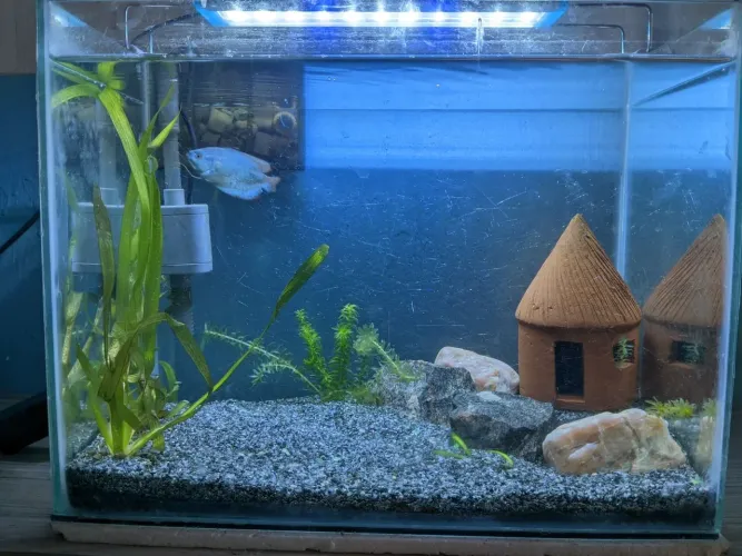 Aquário 28 litros completo