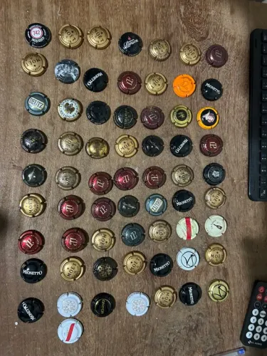 Chapinhas Coleção de Tampinhas de Champagne 67 Peças
