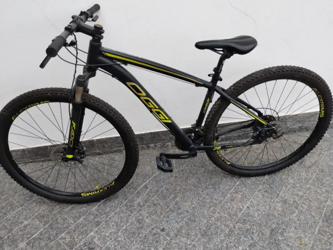Bike Oggi 29