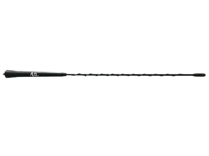 Haste Antena Citroen C4 Pallas N12
