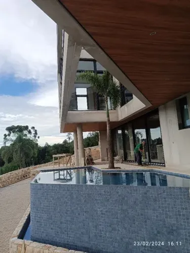 Palmeira Rabo de Raposa ?