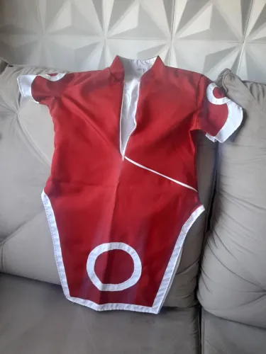 Fantasia cosplay sakura anime naruto
