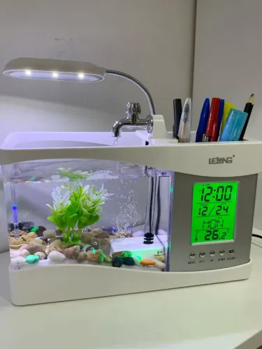 Aquário Decorativo com Relógio e Iluminação LED