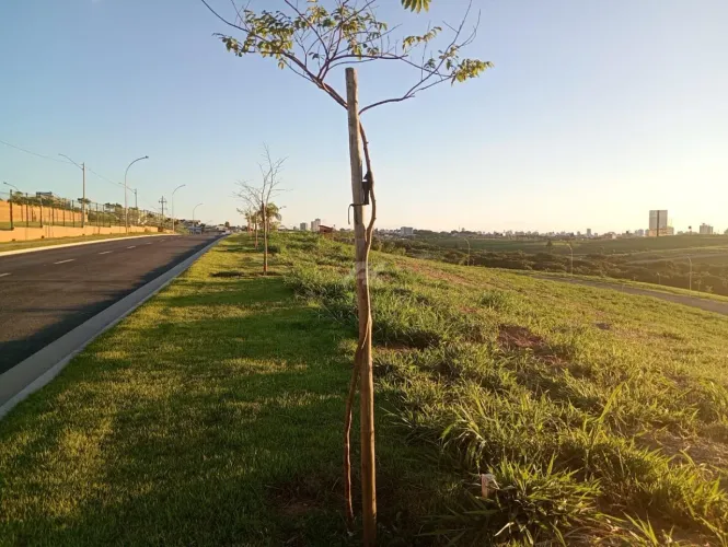 terreno - Alphaville Dom Pedro - Campinas