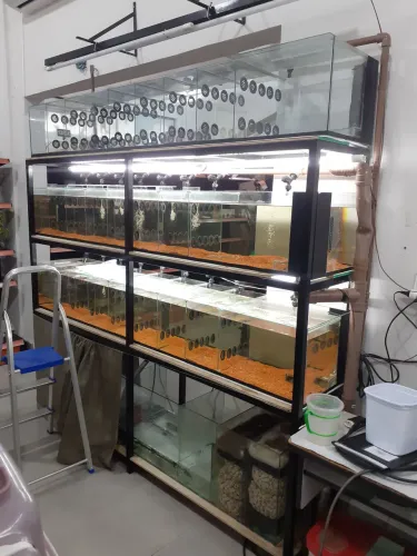 Bateria de 26 aquários com sump..!