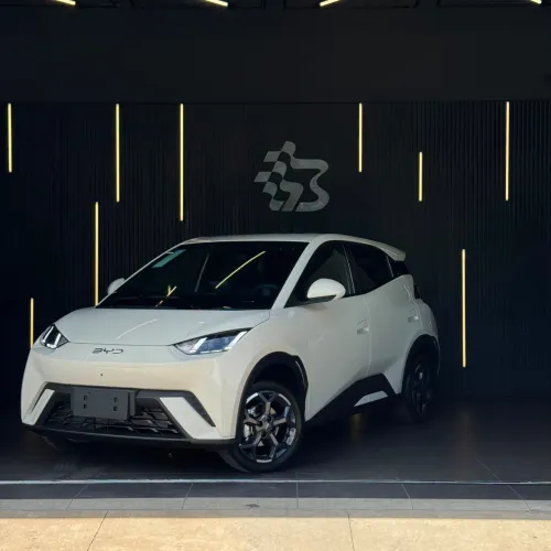 BYD Dolphin Mini (Elétrico) 2027