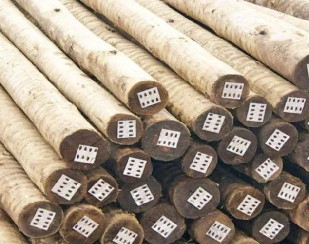 Eucalipto tratado roliço tratamento cca contra cupins e apodrecimento da madeira. 