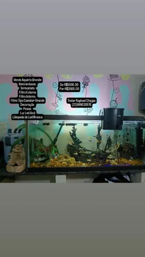 Vendo Aquário Grande Completo