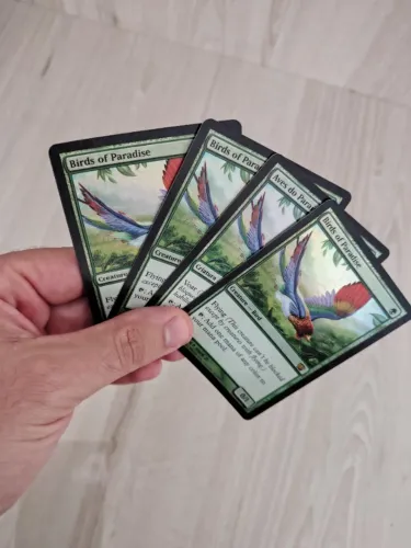 Set Aves do paraíso Foil 8th edição - Magic the gathering