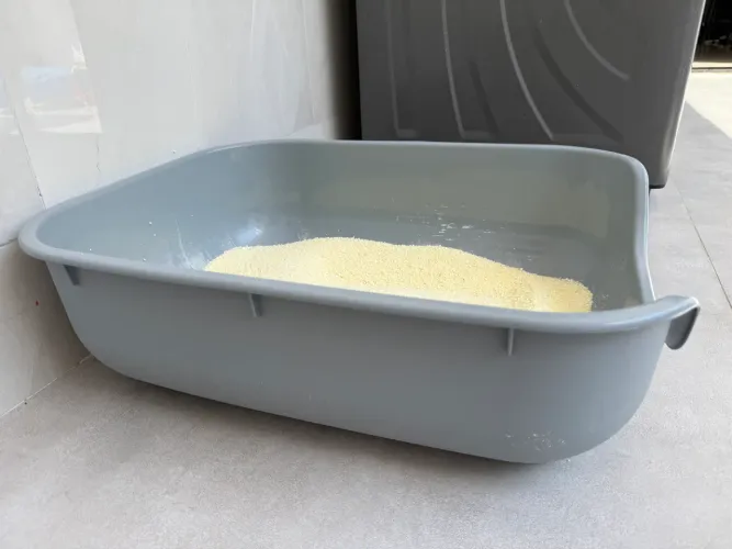 CAIXONA de areia para gatos 