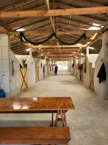 Hospedagem e Cocheiras para Cavalos - Rancho DEAL
