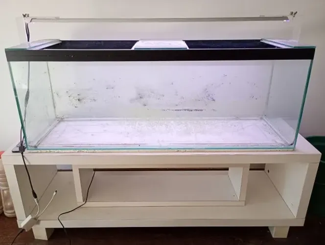 Aquário grande ~100L + móvel + 2 aquários menores e acessórios