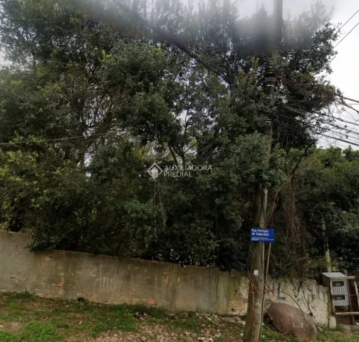 Terreno plano