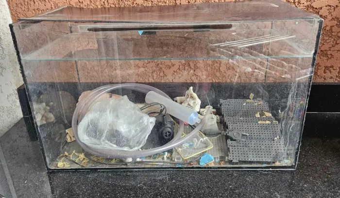 Aquário 60L