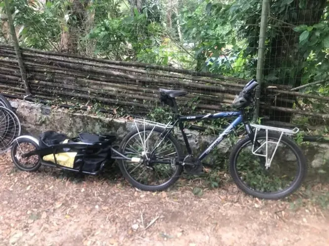 Trailer topeak journey para bike