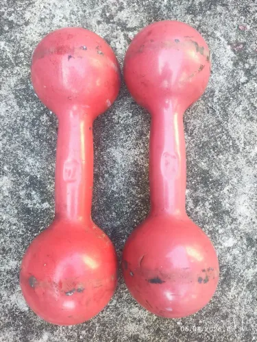Par de halteres bola de 7kg 
