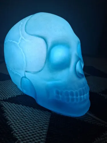 Luminária Caveira Usada