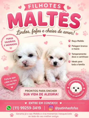Bebês fofos