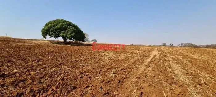 Sítio com 1 dormitório à venda, 78704 m² por R$ 6.785.000,00 - Zona Rural - Brodowski/SP