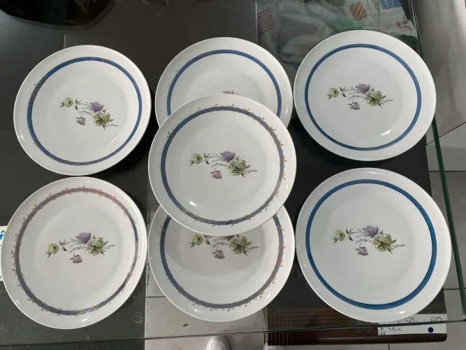 Louça Conjunto de 7 Pratos em Porcelana Schmidt com detalhe Floral