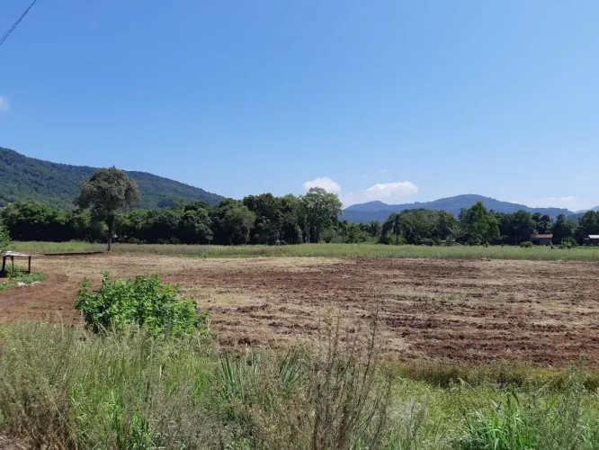 Área de terras cidade Feliz/RS