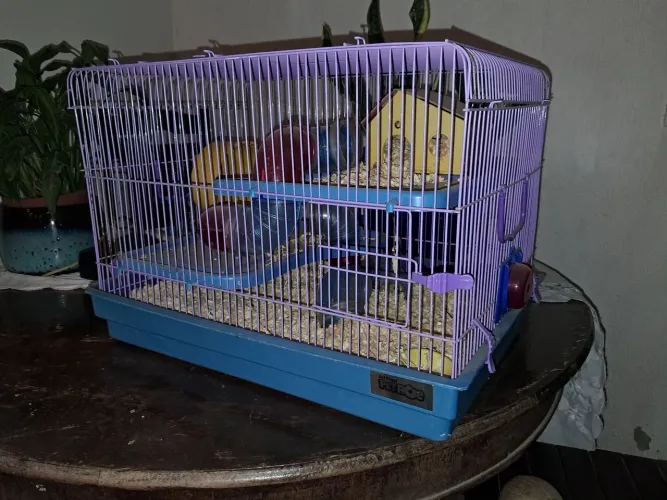 Gaiola hamster
