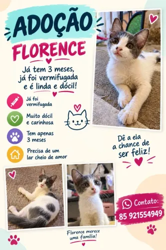 Adoção da Florence 