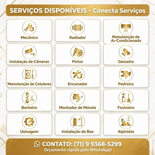 Oportunidade para você que é profissional e está parado