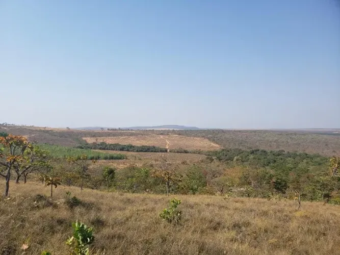 FAZENDA POÇÕES | 263 HECTARES | DISTRITO ANGUERETÁ - CURVELO/MG