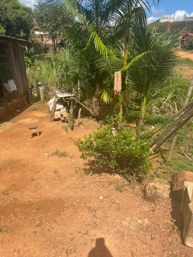 Vendo cabeça bairro vila tucuri próx a construção Mateus mix