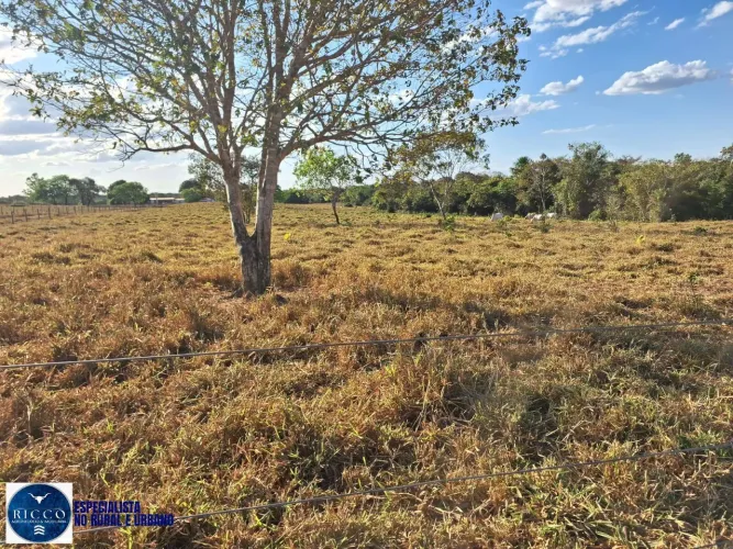 Fazenda à venda em Araguaçu TO | 416 alqueires | Beira da TO-373
