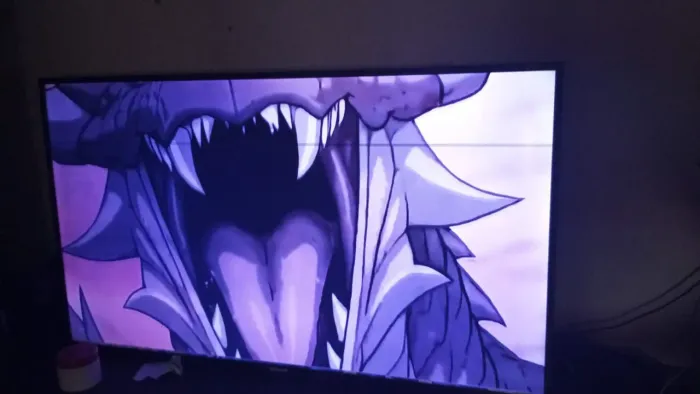 TV polegadas 55