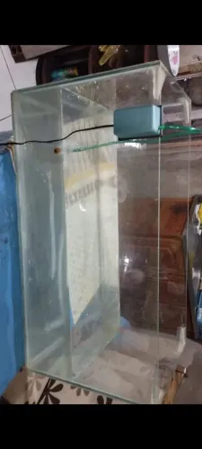 Aquário para Peixes