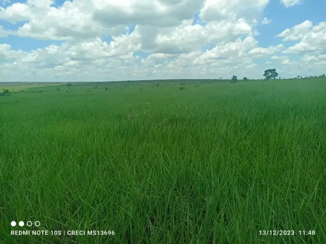 COD.523 Fazenda de 880 ha em São Gabriel do Oeste/MS