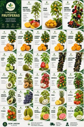 Frutiferas