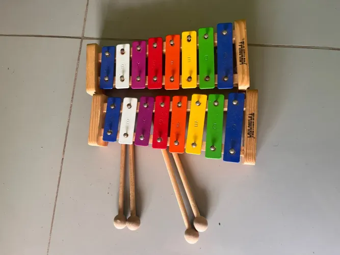 Vendo 2 xilofones 