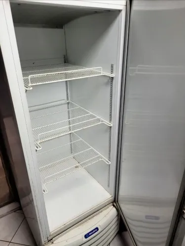 Freezer vertical