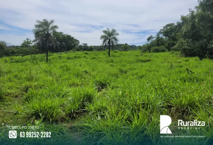 39 ALQUEIRES | 95 HA PARA ABERTURA | RIO PIRANHAS