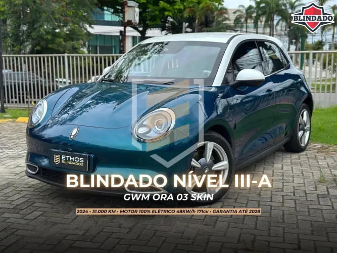GWM Ora 03 Skin (elétrico) 2024