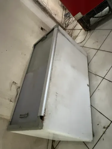 Freezer congelados