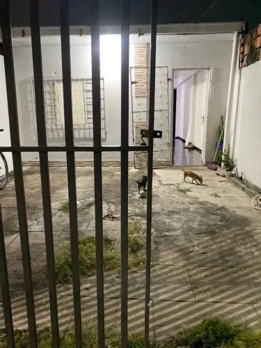Alugo casa em flores