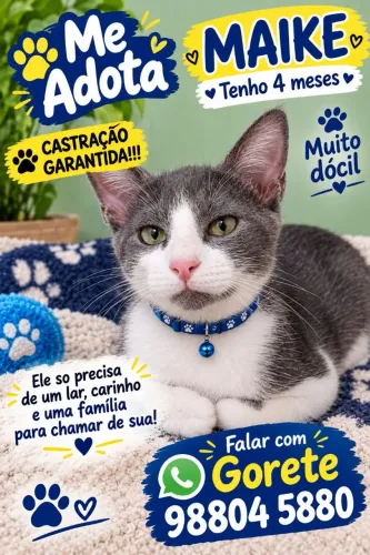 LINDÃO
