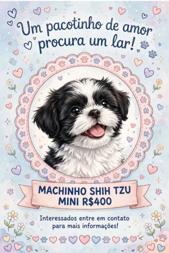 MACHINHO SHIH TZU MINI
