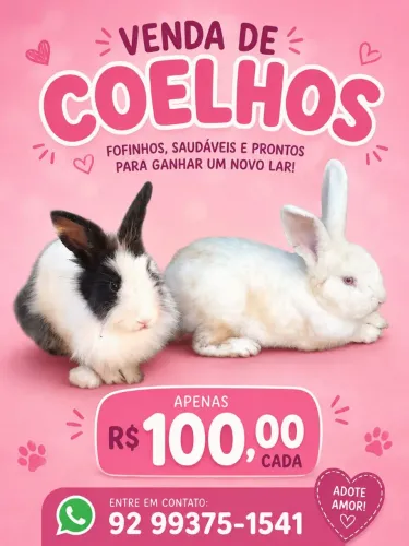 Coelhos
