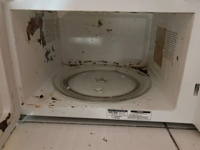Microondas