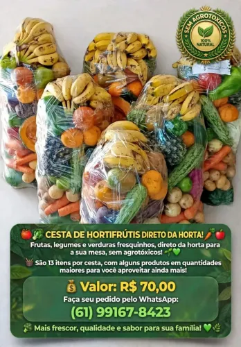Cesta de frutas, legumes e verduras. Tudo fresquinho direto da horta sem agrotóxico. 