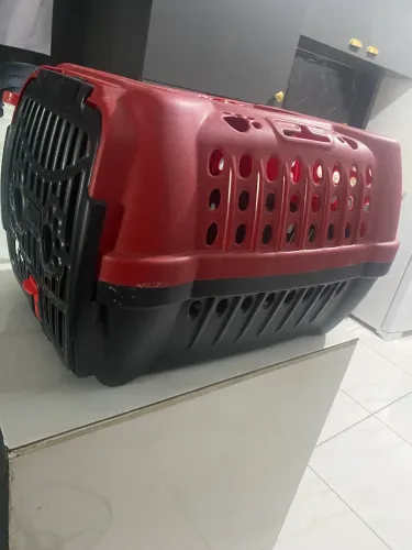 Caixa de transporte